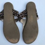 blowfish Malibu Women’s Animal Print Buckle Detail Sandals Sz 8 Photo 7