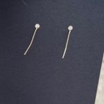 Handmade Real Fern leaf resin Dangle Earrings dried natural flat cute plant lover New Photo 3