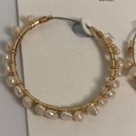 Loft outlet nwt Gold and Cream Textured Hoop Earrings Photo 1