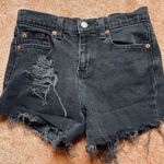Polo Jean Co. Polo Distressed Shorts Photo 0