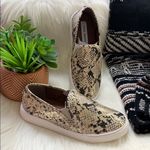 Steve Madden • safary python snakeskin metallic sneakers Photo 16