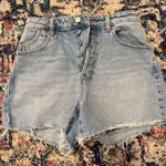 Rolla's Original  Shorts Photo 0