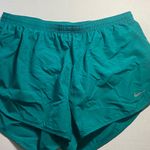 Nike Dri-Fit Shorts Photo 0