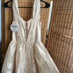 Selfie Leslie  cream mini dress Photo 4