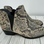 Seychelles  ankle boots Chelsea snakeskin print low heel size 6 Photo 0