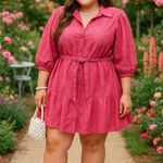Colleen Lopez Embroidered Pink Eyelet Flared Shirt Dress 3/4 Puff Sleeve Boho 3X Photo 0