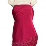 Sam Edelman Feather hem sheath Red Wine Dress NWT $158 Valentines Lady in Red Photo 2