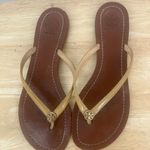 Tory Burch Terra Sandal Photo 4