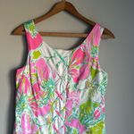 Lilly Pulitzer Don't Give A Cluck Cathy Shift Dress Size 2 Photo 4