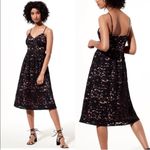 Babaton  Aritzia Braylin Marigold Lace Overlay A-Line Midi‎ Dress Black Size 10 Photo 2