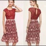 Anthropologie Plenty  Women's Arcadia Accordion Pleated Laced Midi Dress Brown Si Photo 2