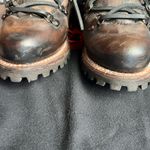 FREEBIRD by Steven Hikers Photo 5