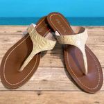 Prada alligator thong sandals cream pink brown Photo 1
