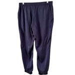 Eileen Fisher NWT Sandwashed Silk Charmeuse Ankle Pants Midnight Blue Medium Photo 1