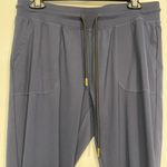 Zyia  Athleisure Navy Blue Joggers Ankle Zipper Pants Sz Small EUC #2085 Photo 2