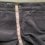 Pilcro and the Letterpress  Gray Straight Leg Corduroy Pants 29 Photo 6