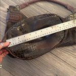 Brown Crocodile Photo 8