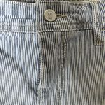 Pilcro and the Letterpress  Women’s Blue & White Striped‎ Hyphen Shorts Size 28 Photo 2