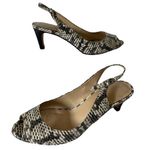 Talbots  Women Slingback Sandals Kitten Heel Animal Pattern 6AA Black And Beige Photo 4