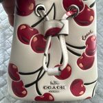 Coach Drawstring Wristlet With Cherry Print - Novelty Leather/Silver/Chalk Multi Photo 4