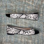 French Sole FS/NY Irina Leather Ballet Flat in Black Acadia Gray Size 10 Photo 7