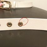 Juicy Couture Rose Gold Buckle Polyurethane Belt Photo 9