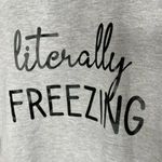 Tultex  Literally Freezing gray pullover sweatshirt long sleeve spell out medium Photo 2