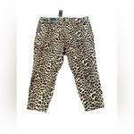 Torrid  Women's Plus Size 22 Leopard Print Ankle Leggings‎ Casual Photo 4