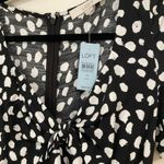 Loft Black& White Dotted Dress Photo 2