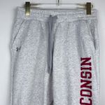 Under Armour  Women's Wisconsin All Day Fleece Joggers in Gray Size Small Photo 2