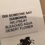 Wildfox {S} NWT  Did Someone Say Diamonds Tiffany Blue Tee Shirt Photo 8