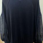 EXPRESS ~ Long Sleeve Relaxed Top ~ Size Medium~ Blue ~ Shear Sleeves Photo 0