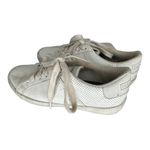 Nautica  White Athletic‎ Shoes Photo 3