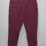 Blair Women's Casual Comfortable Pants Size 16PT Stretch Red Elastic Waist Photo 0