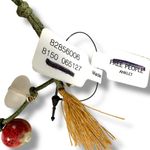 Free People Shell Bohemian Beach Summer Collected Anklet in Sage Green NWT Boho Photo 8