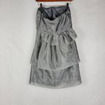 The Limited  Event Women's Dress 6 Silver Strapless Organza Party Prom Cocktail Photo 1