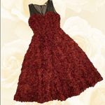 Anthropologie  Tracy Reese Maroon 3D Floral Rose Cocktail Dress NWT Photo 0