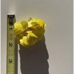 Vintage Flower Ball Earrings Yellow White Stone, Dangle Bright Summer Spring Photo 5