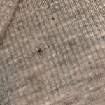 Steve Madden Sports Bra Photo 1