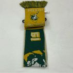 NFL Green Bay GB Packers Football Retro Throwback Team Logo FOCO Scarf Scarve Photo 3