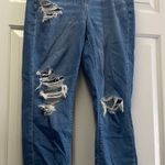 American Eagle curvy mom jean Photo 0