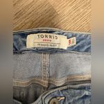 Torrid  Distressed Skinny Ankle Jeans Photo 2