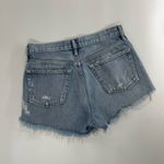 AGOLDE Parker Vintage Cut-Off Short In Swapmeet Size 25 Photo 2