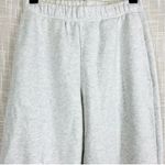 Aritzia  sweatpants  Photo 3