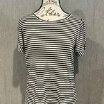 Staccato Olive Green and White Fitted Short Sleeve Tee Size XS Photo 0