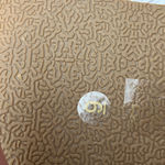 Eox Link Women Brown Leather Ankle Strap Sandals Flip Flop Thong Size 9 Photo 1