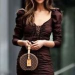 ZARA Blogger Favorite Dress Photo 5