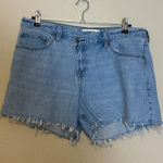 Abercrombie & Fitch  The baggy short low rise curve love Size 30 Photo 0