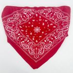 Fashion Magazine Womens Y2K Vintage 2000s Bandana Tube Top Paisley Print Size L Photo 0