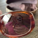 Coach Gerry S731A Amber Horn Sunglasses Photo 7